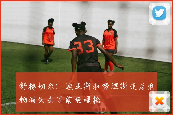 舒梅切尔：迪亚斯和努涅斯走后利物浦失去了前场逼抢